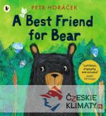 A Best Friend for Bear - książka