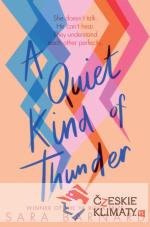A Quiet Kind of Thunder - książka