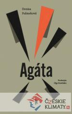 Agáta - książka