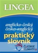 Anglicko-český a česko-anglický Praktický slovník - książka