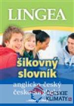 Anglicko-český česko-anglický šikovný slovník - książka