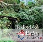 Beskydské studánky - książka