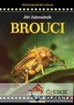 Brouci - książka