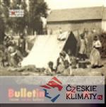 Bulletin Muzea romské kultury 21-22/2012-2013 - książka