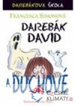 Darebák David a duchové - książka