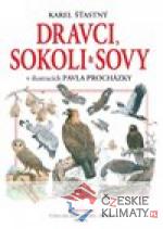 Dravci, sokoli a sovy - książka