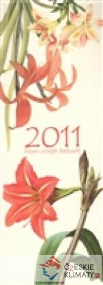 Kalendář nástěnný 2011 - Pierre-Joseph R...