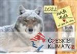 Kalendář 2022 - Naši vlci od jara do zim...