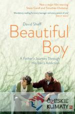 Beautiful Boy: A Fathers Journey Through...