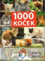 1000 koček