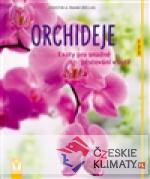 Orchideje - Exoty pro snadné pěstování v...