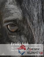 Fríský kůň - černá perla