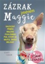 Zázrak jménem Maggie