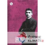 Dzienniki 1910 - 1913 tom 1