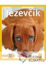 Jezevčík - książka