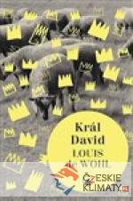 Král David - książka