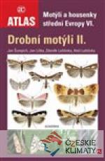 Motýli a housenky střední Evropy VI. (Drobní motýli II.) - książka
