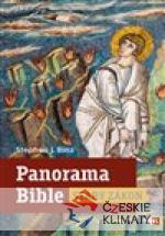 Panorama Bible - Starý zákon - książka