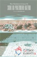 Skok do prázdného bazénu - książka