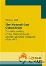 The Natural Gas Conundrum - książka
