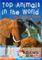 Top Animals in the World - książka