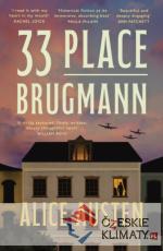 33 Place Brugmann - książka
