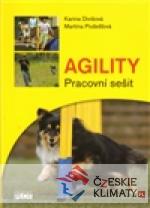 Agility - Pracovní sešit - książka