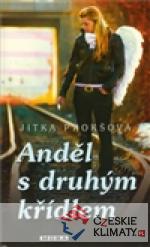 Anděl s druhým křídlem - książka