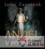 Anděl v podsvětí - CD - książka
