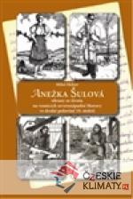 Anežka Šulová - książka