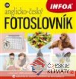 Anglicko - český fotoslovník INFOA - książka