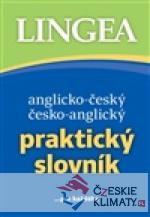Anglicko-český a česko-anglický Praktický slovník - książka