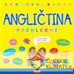 Angličtina přehledně - książka