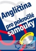 Angličtina pro pokročilé samouky - książka