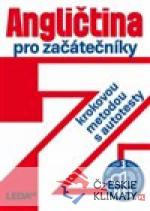 Angličtina pro začátečníky krokovou metodou - książka