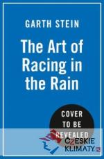 Art of Racing in the Rain - książka