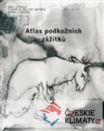 Atlas podkožních zážitků/ K problematice viděného - książka