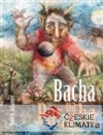 Bacha na Raracha - książka