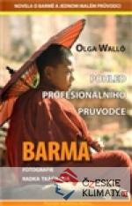 Barma – pohled profesionálního průvodce - książka