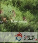 Book on Ahae - książka