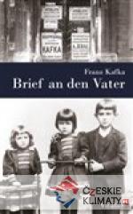 Brief an den Vater - książka