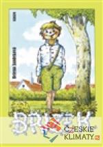 Břízek - książka