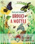 Brouci a motýli - Kuk pod okénko - książka