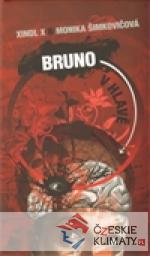 Bruno v hlavě - książka