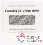 Čaroděj ve vlčím dole - książka