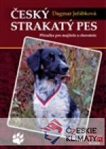 Český strakatý pes - książka