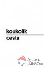 Cesta - książka