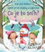 Co je to sníh? - Kuk pod okénko - książka