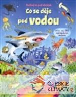 Co se děje pod vodou - Podívej se pod obrázek - książka