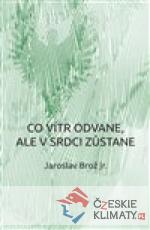 Co vítr odvane, ale v srdci zůstane - książka